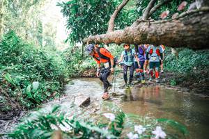 BIB: 
                            <button type="button" onclick="openModal(25515212)" class="btn btn-primary btn-sm float-right btn-popup" data-toggle="modal" data-target=".modal-high-quality">
                        <i class="fas fa-shopping-cart"></i> Add to Cart
                    </button>
                                            <button type="button" onclick="isThisMe(25515212, true)" class="btn btn-success btn-sm float-right btn-popup btn-isme hidden" data-toggle="tooltip" data-placement="bottom" title="นี่คือรูปของคุณใช่ไหม คลิกที่นี่เพื่อเอาเข้าอัลบั้ม">
                        <i class="fas fa-plus"></i> Add to album
                    </button>
                    <button type="button" onclick="isThisMe(25515212, false)" class="btn btn-warning btn-sm float-right btn-popup btn-isnotme hidden">
                        <i class="fas fa-ban"></i> Remove from album
                    </button>